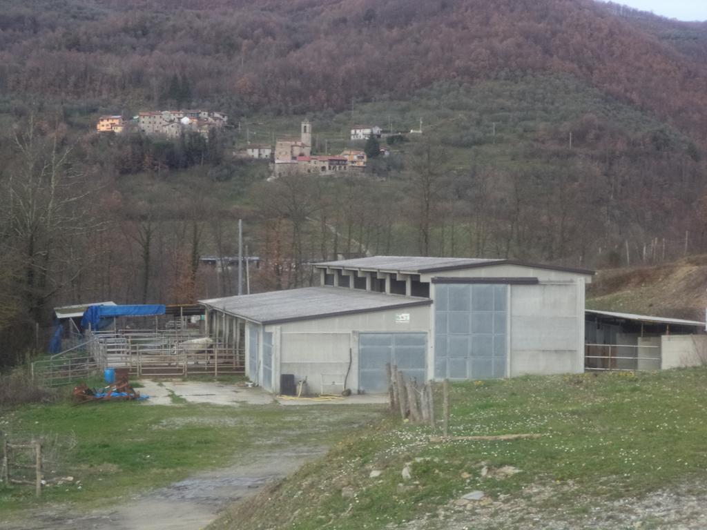 Le Chianine Dei Tognoli Hotel Gragnola Exterior photo