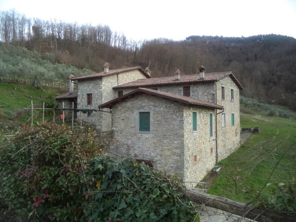 Le Chianine Dei Tognoli Hotel Gragnola Exterior photo