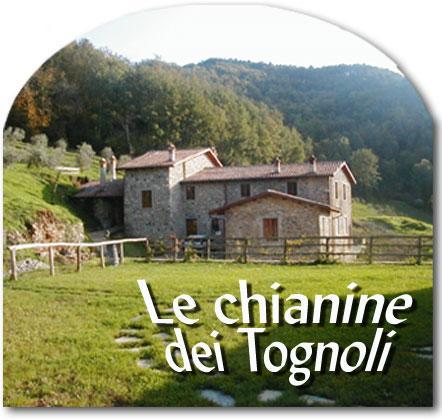 Le Chianine Dei Tognoli Hotel Gragnola Exterior photo